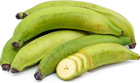 Green plantains. Things To Know About Green plantains. 